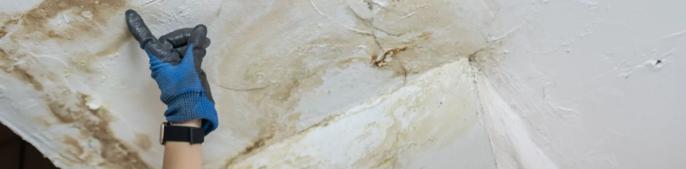 Webseite (2300 x 569 px) (3)